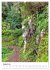 Malerisches Madeira (Wandkalender 2026... - Bild 14