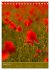 Mohnblumen - kraftvoll und zart... - Bild 14