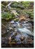 Bewegtes Wasser (Wandkalender 2026 DIN... - Bild 13