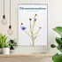 Blumenmetamorphosen (Wandkalender 2026... - Bild 2