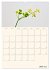 Blumenmetamorphosen (Wandkalender 2026... - Bild 13