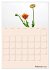 Blumenmetamorphosen (Wandkalender 2026... - Bild 8