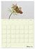 Blumenmetamorphosen (Wandkalender 2026... - Bild 9
