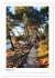 Kroatiens Inselzauber, Cres und Losinj... - Bild 3