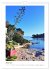Kroatiens Inselzauber, Cres und Losinj... - Bild 7