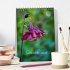 Gartenliebe (Tischkalender 2026 DIN A5... - Bild 2