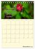 Gartenliebe (Tischkalender 2026 DIN A5... - Bild 5