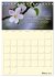 Gartenliebe (Tischkalender 2026 DIN A5... - Bild 9