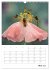 Helden in der Natur (Wandkalender 2026... - Bild 11