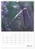Helden in der Natur (Wandkalender 2026... - Bild 13