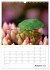 Helden in der Natur (Wandkalender 2026... - Bild 14