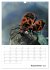 Helden in der Natur (Wandkalender 2026... - Bild 15