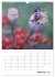 Helden in der Natur (Wandkalender 2026... - Bild 3