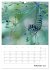 Helden in der Natur (Wandkalender 2026... - Bild 8