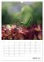 Helden in der Natur (Wandkalender 2026... - Bild 10