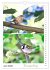 Vogel-Paare (Wandkalender 2026 DIN A4... - Bild 12