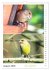 Vogel-Paare (Wandkalender 2026 DIN A4... - Bild 14