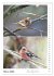 Vogel-Paare (Wandkalender 2026 DIN A4... - Bild 9