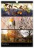 Bezaubernde Farben der Natur... - Bild 4
