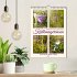 Kalkmagerrasen (Wandkalender 2026 DIN... - Bild 2