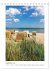 Lübecker Bucht Seebäder an der Ostsee... - Bild 15