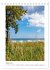 Lübecker Bucht Seebäder an der Ostsee... - Bild 7