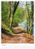 Herrliche Wanderwege (hochwertiger... - Bild 11