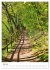 Herrliche Wanderwege (hochwertiger... - Bild 12
