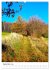 Herrliche Wanderwege (hochwertiger... - Bild 14