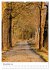 Herrliche Wanderwege (hochwertiger... - Bild 3