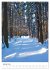 Herrliche Wanderwege (hochwertiger... - Bild 6