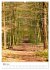 Herrliche Wanderwege (hochwertiger... - Bild 8