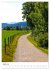 Herrliche Wanderwege (hochwertiger... - Bild 9