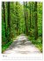 Herrliche Wanderwege (hochwertiger... - Bild 10