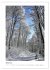 Mein Sehnsuchtsort, der Wald... - Bild 7