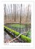 Mein Sehnsuchtsort, der Wald... - Bild 8