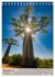 MADAGASKAR: Baobabs, Lemuren,... - Bild 4
