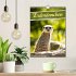 Erdmännchen, putzige Kerlchen mit... - Bild 2