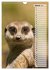 Erdmännchen, putzige Kerlchen mit... - Bild 7