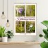 Kalkmagerrasen (Wandkalender 2026 DIN... - Bild 2