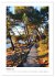 Kroatiens Inselzauber, Cres und Losinj... - Bild 2