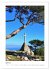 Kroatiens Inselzauber, Cres und Losinj... - Bild 9