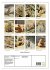 Familie Präriehund (Wandkalender 2026... - Bild 6