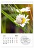 Schnecklein (Wandkalender 2026 DIN A4... - Bild 12