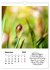 Schnecklein (Wandkalender 2026 DIN A4... - Bild 15