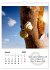 Schnecklein (Wandkalender 2026 DIN A4... - Bild 7
