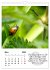 Schnecklein (Wandkalender 2026 DIN A4... - Bild 9