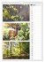 Zauberhafte Farben der Natur... - Bild 11
