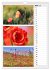 Zauberhafte Farben der Natur... - Bild 12