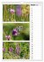 Zauberhafte Farben der Natur... - Bild 14